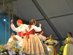 Festival de Folkore en Mula